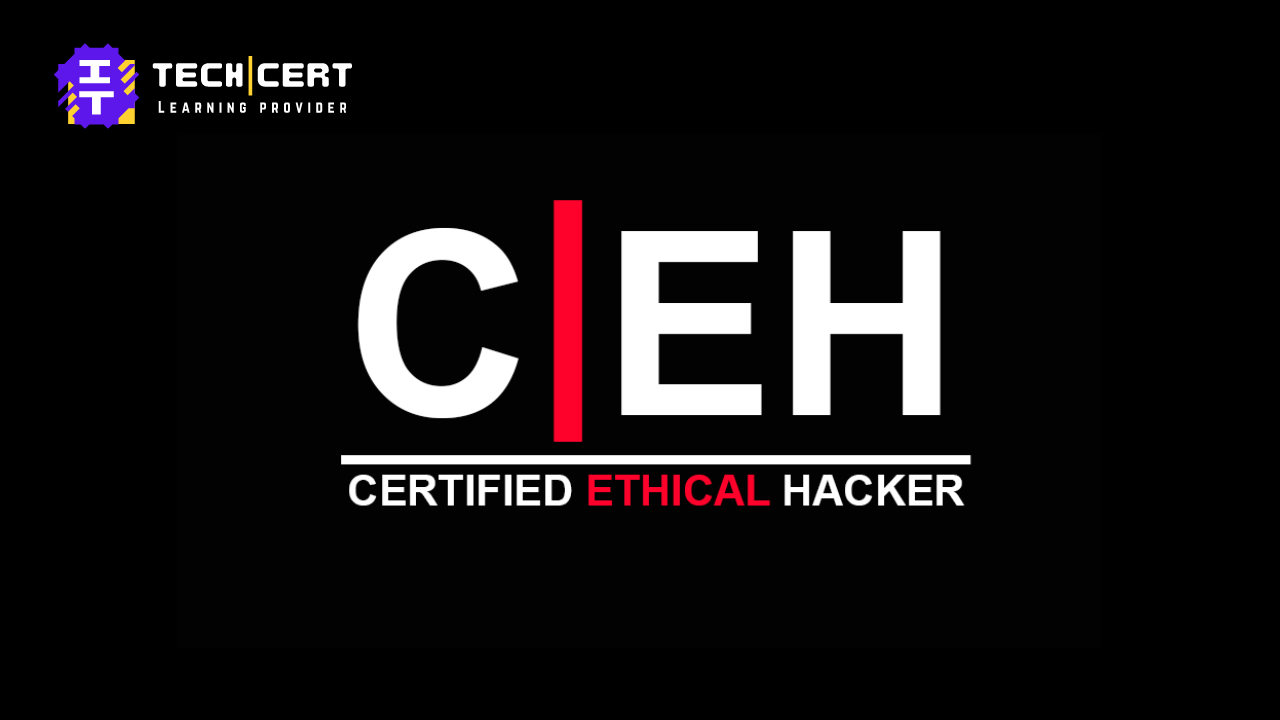 Certified Ethical Hacker (CEH)