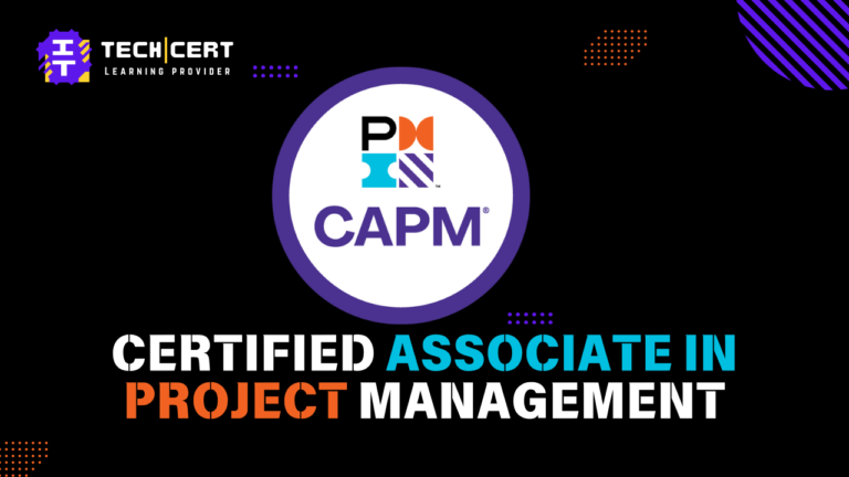 CAPM Certification Course